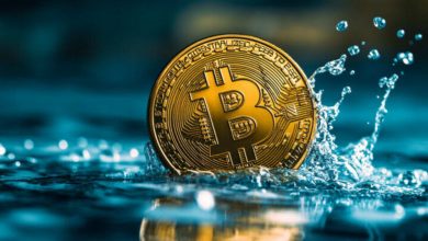 top-bitcoin-recovery-service-offering-pro-bono-crypto-recovery-for-scam-victims